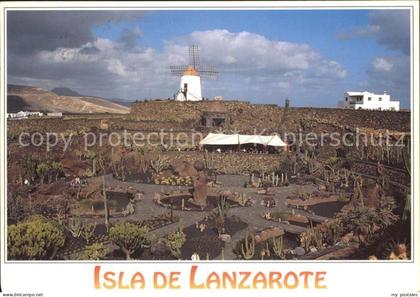 Lanzarote Kanarische Inseln Kaktusgarten