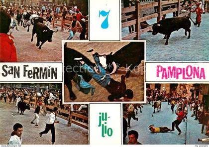 Pamplona Navarra ES El encierro de los toros