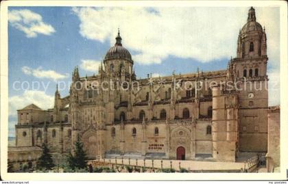 Salamanca Castilla y Leon Cathedral