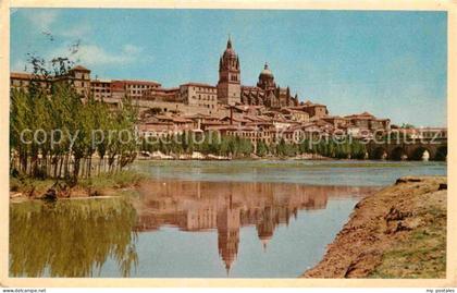 Salamanca Castilla y Leon Partie am Fluss