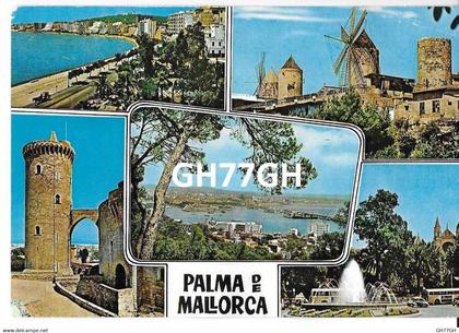 CP PALMA DE MALLORCA