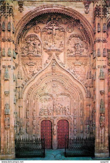CPM Salamanca Porte de la Nouvelle Cathedrale