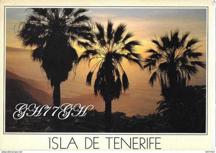 CP CANARIES -tenerife