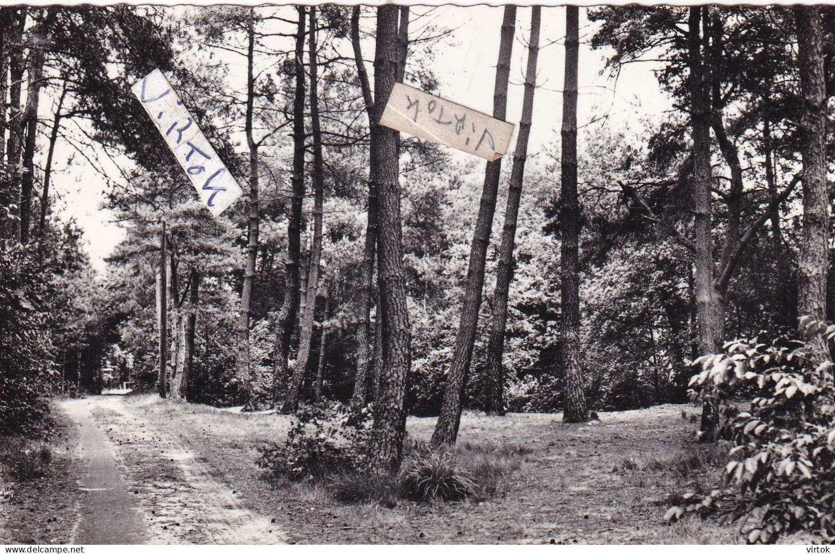Essen :  natuurschoon  (  met zegel )