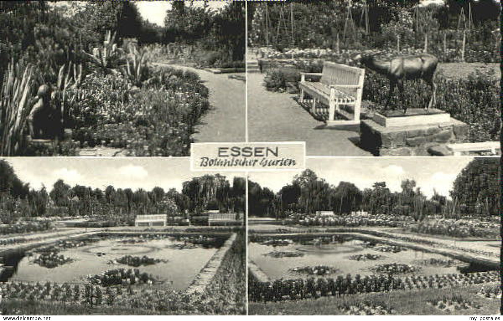 Essen Ruhr Essen Garten