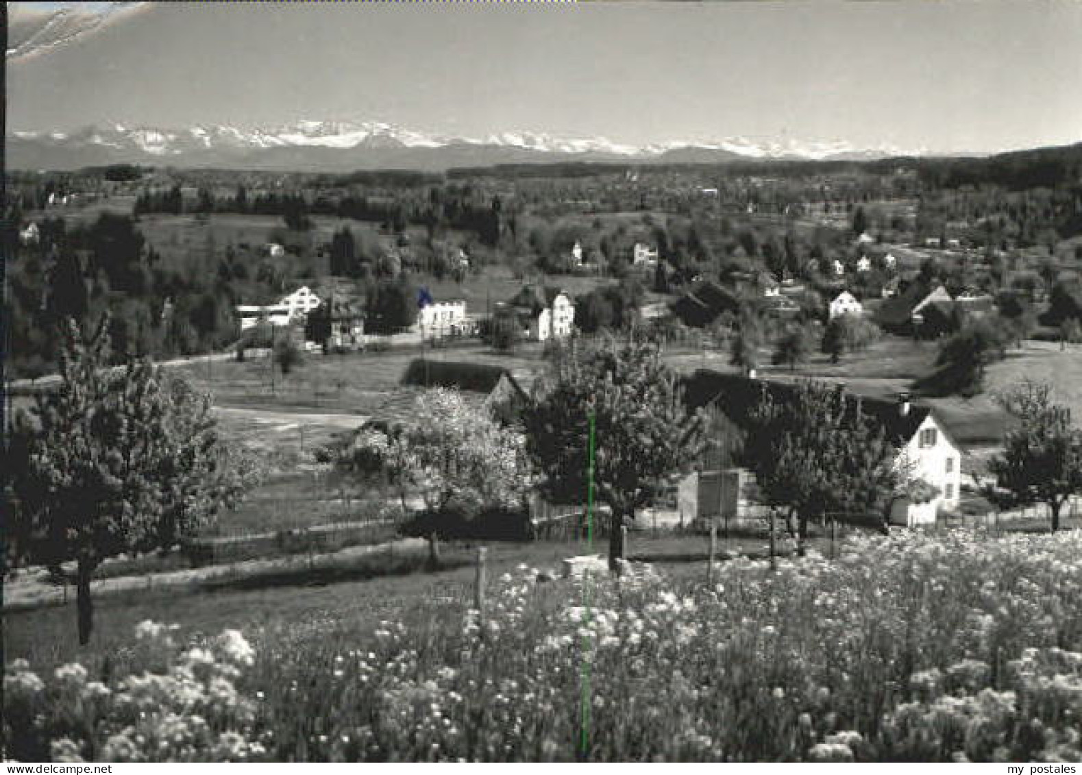 Esslingen Neckar Esslingen  x 1964