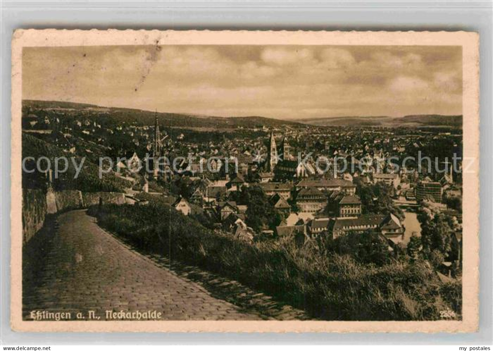 Esslingen Neckar Neckarhalde