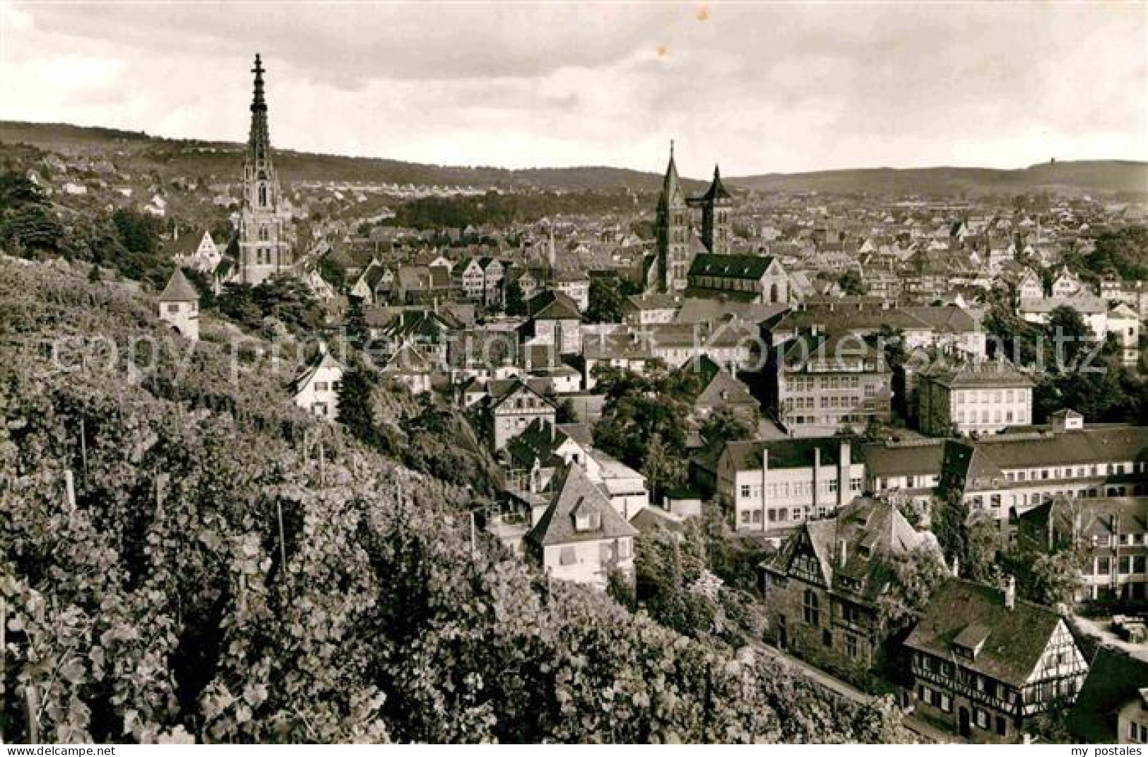 Esslingen Neckar Panorama