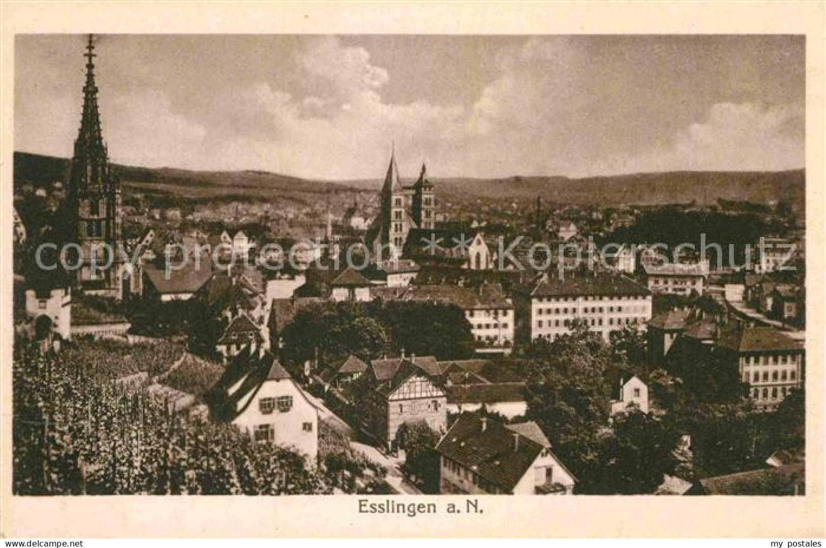 Esslingen Neckar Panorama