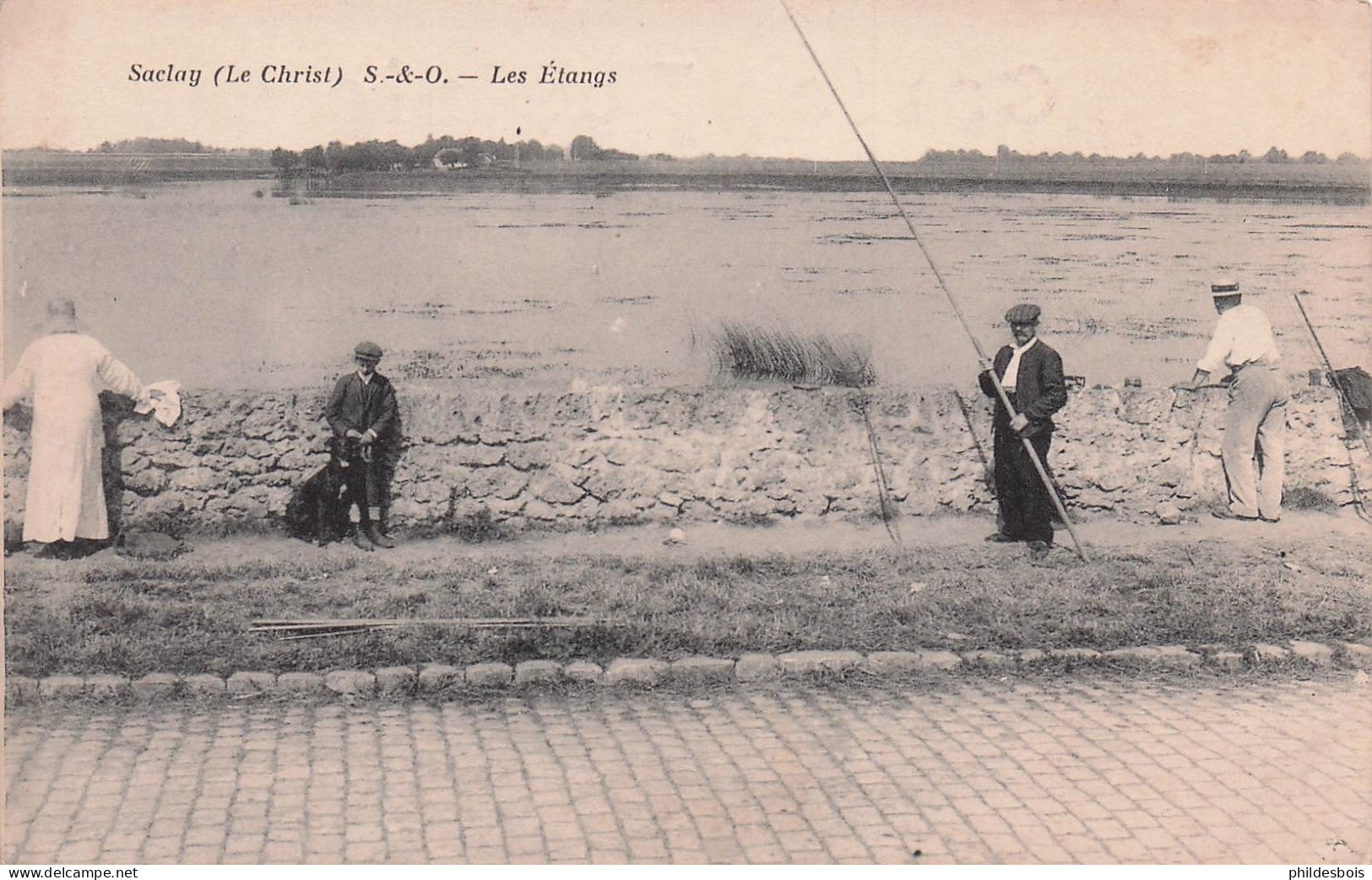 ESSONNE  SACLAY  les étangs ( pecheurs )