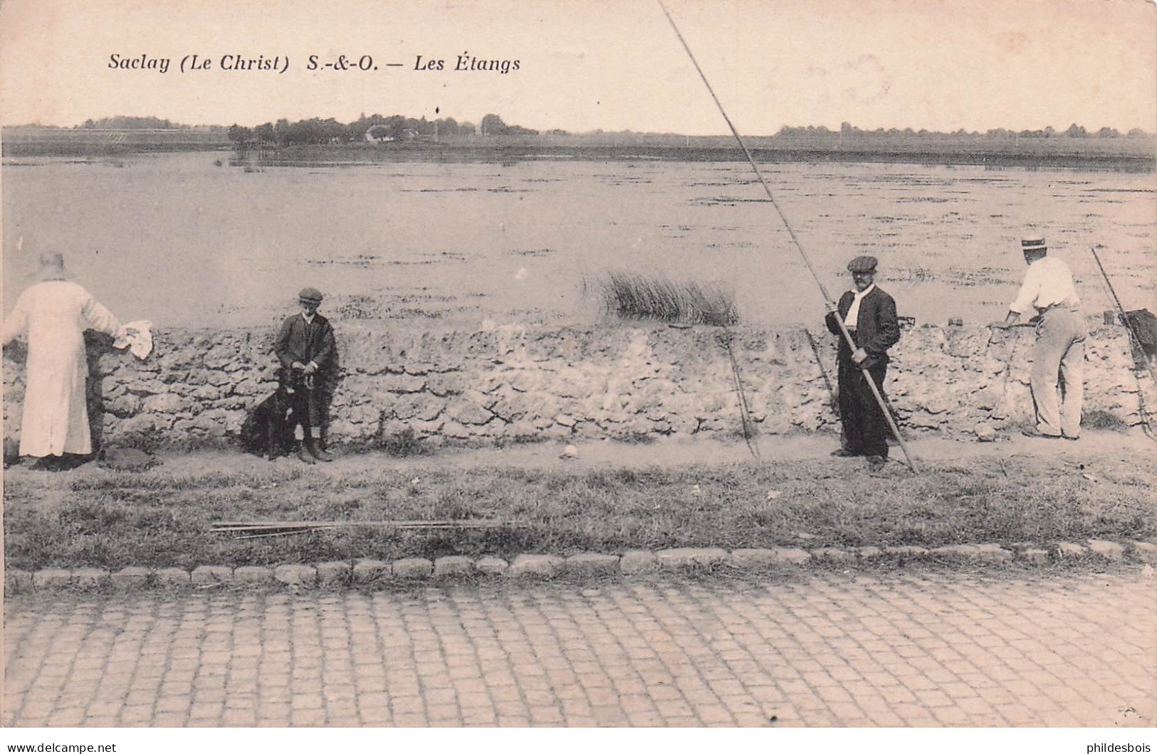 ESSONNE  SACLAY  les étangs ( pecheurs )