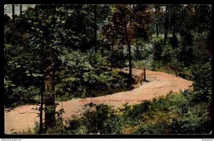 Aiken - Scene On Whitney Drive