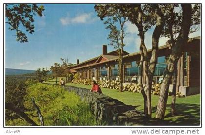 Volcano House HI Hawaii, Dining Room over-looking Halemaumau Crater,  c1950s/60s Vintage Postcard