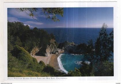 AK 247566 USA - Julia Pfeiffer Burns State Park bei Big Sur