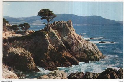 AK 253323 USA - Midway Point