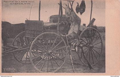 Casper Wyoming Animal Trophy Hunting Antique Transport USA Old Postcard
