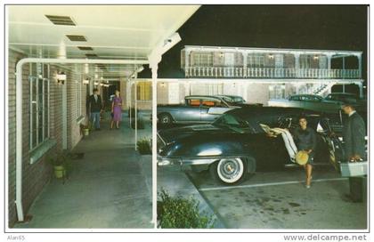 Columbia MO Missouri, Stephens Motel Lodging, Great Auto Fashion, c1950s Vintage Postcard