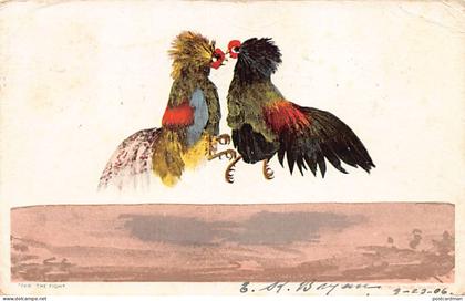 Usa - DALLAS (TX) The Cock Fight