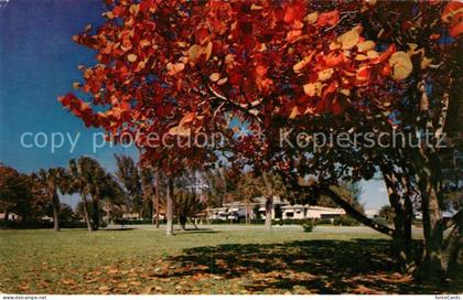Clearwater Beach Rockaway Park