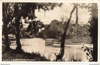 ETATS UNIS - Florida - Silver Springs - Ocala - arbre - 1947 - CPA
