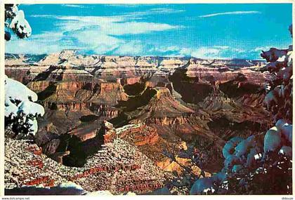 Carte Postale - Etats Unis - Grand Canyon - Grand Canyon National Park - CPM - Voir Scans Recto-Verso - Poscard - Carta