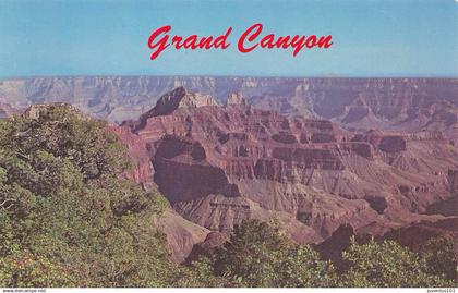 CPSM Grand Canyon   L3910