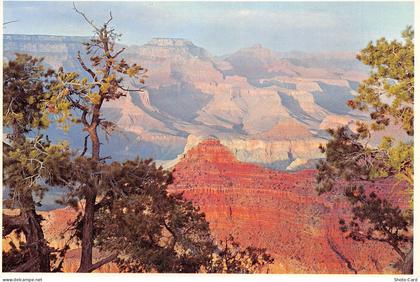 USA ARIZONA GRAND CANYON