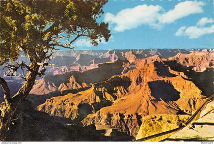 USA ARIZONA GRAND CANYON
