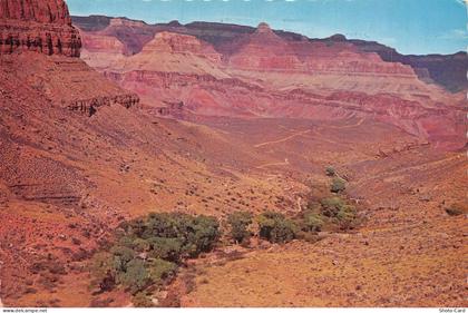 USA ARIZONA GRAND CANYON