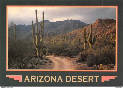USA ARIZONA SAGUARO