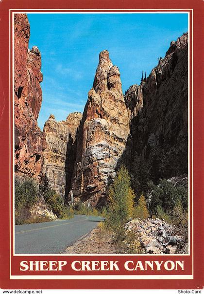 USA AZ CREEK CANYON