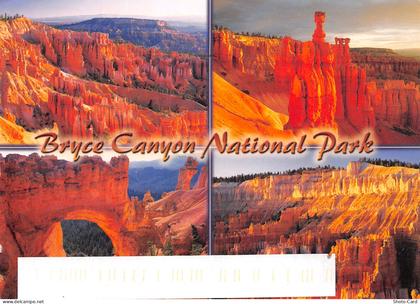 USA AZ GRAND CANYON