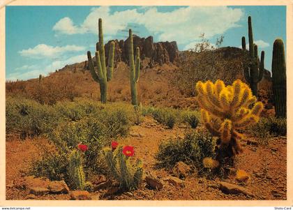 USA AZ GRAND CANYON