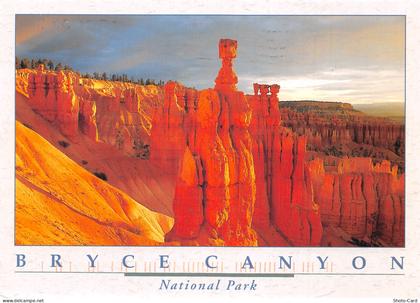 USA AZ GRAND CANYON