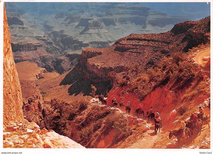 USA AZ GRAND CANYON