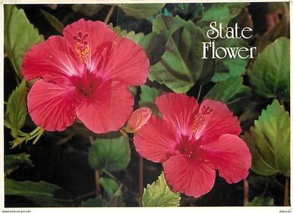 Carte Postale - Etats Unis - Hawaï - Hawaï's flowers - Hibiscus - Fleurs - Etat de Hawaï - Hawaï State - CPM - Voir Timb