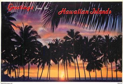 Carte Postale - Etats Unis - Hawaï - Sunset through the Palms as the sun goes down in Hawaii - Etat de Hawaï - Hawaï Sta
