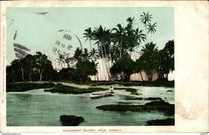 CPA Cocoanut island Hilo Hawai