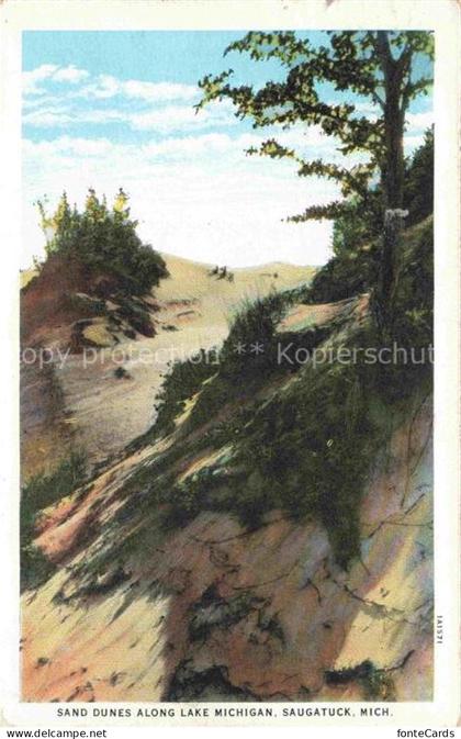 Saugatuck Michigan USA Sanduenen Lake-Michigan Baeume Duenenlandschaft Kiefer Ku