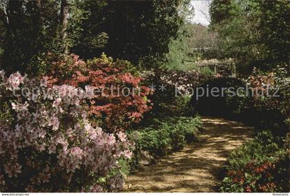 Jackson Mississippi Mynelle Gardens