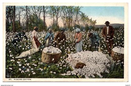 Etats Unis - Picking Coton