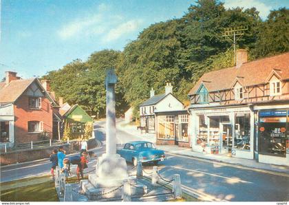CPM Burley Hampshire