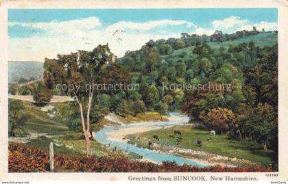 Suncook New Hampshire USA Panorama