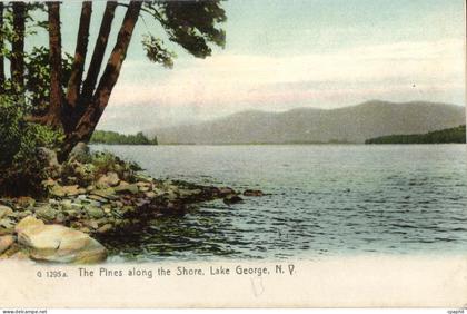 CPA The Pines along the Shore Lake George Lake George NY