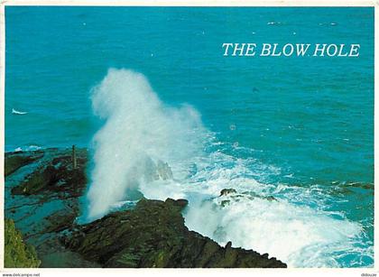 Carte Postale - Etats Unis - Hawaï - Oahu - The Blow Hole - Etat de Hawaï - Hawaï State - CPM - Voir Timbre - Voir Scans