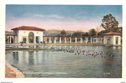 CPM The Wild Ducks at The Embarcadero Oakland California The Heart of the City Oakland California