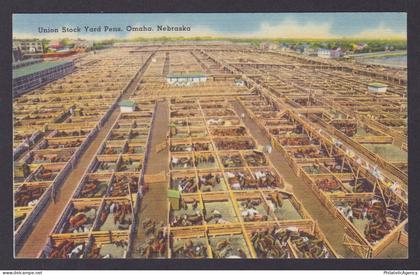 Postcard, United States, Omaha NE, Union Stock Yard Pens