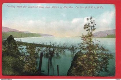 USA OREGON.   RAILWAY. OR + N Co OFFICIAL