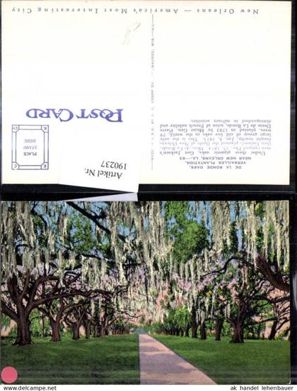 190237,Louisiana New Orleans Versailles Plantation De la Ronde Oaks