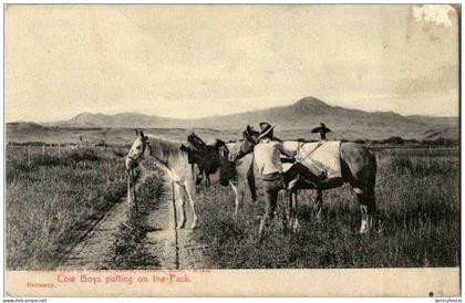 Cow Boys putting on the Pack
